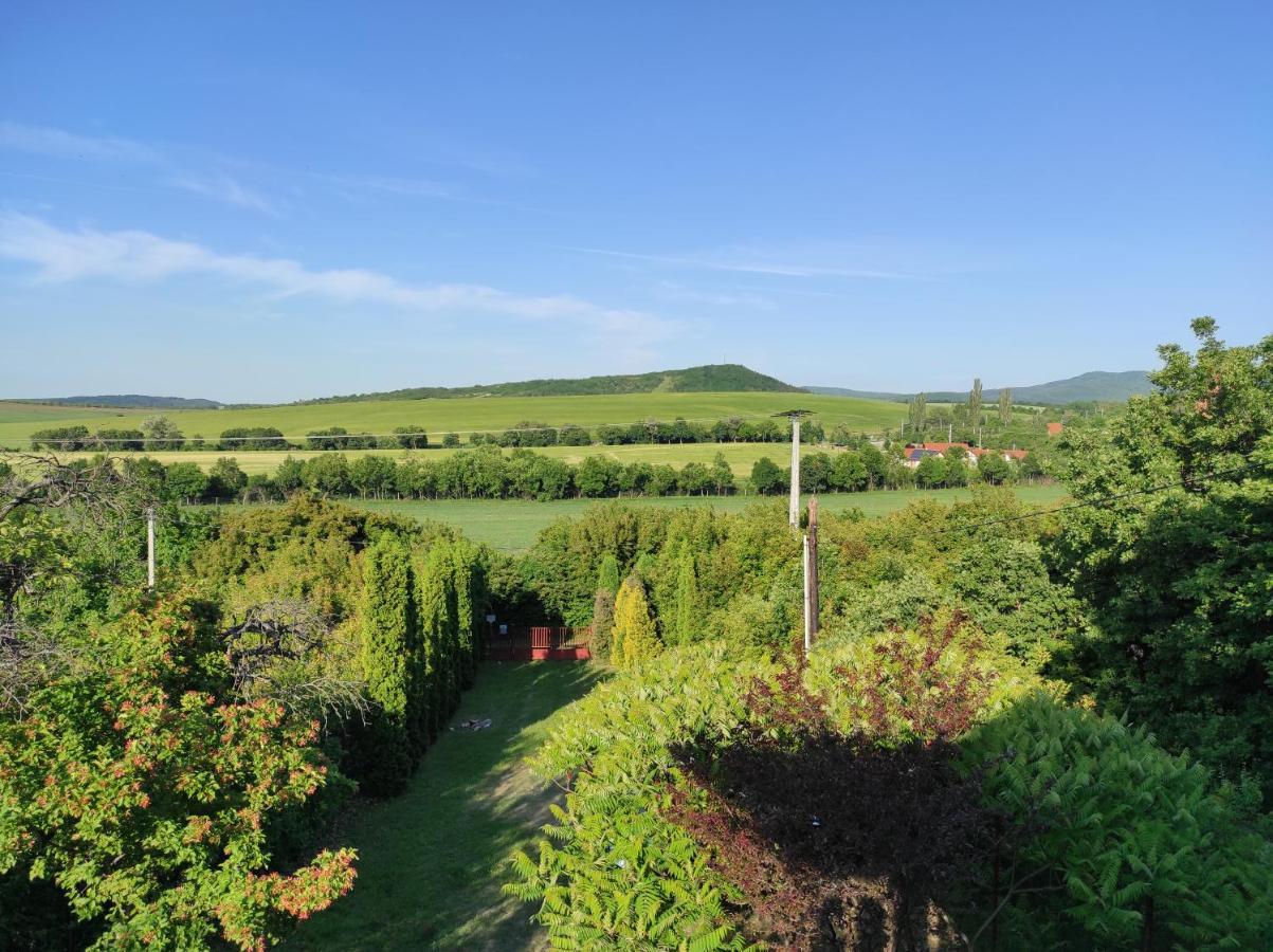 Sarga Liliom Vendeghaz Holiday home